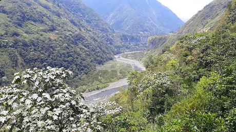 ECUADOR : LA RUTA DE LAS CASCADAS EN BAÑOS ECUADOR : LA RUTA DE LAS CASCADAS EN BAÑOS