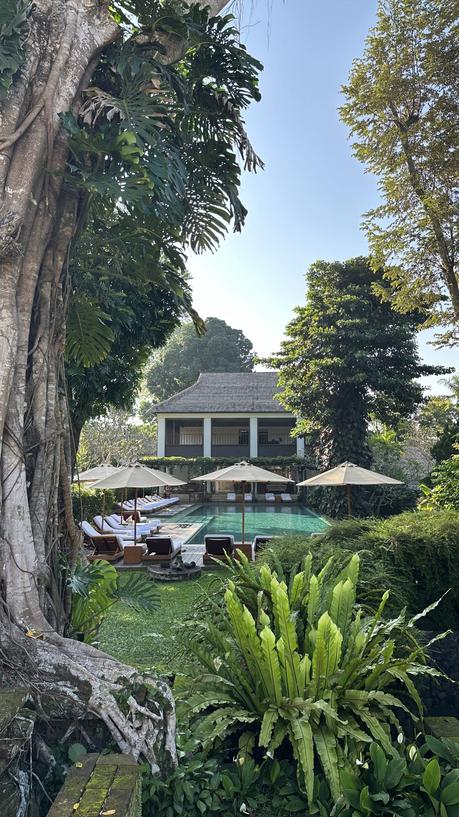 Mi viaje a Bali, Singapur y Bawah