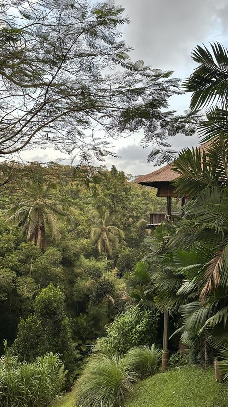 Mi viaje a Bali, Singapur y Bawah