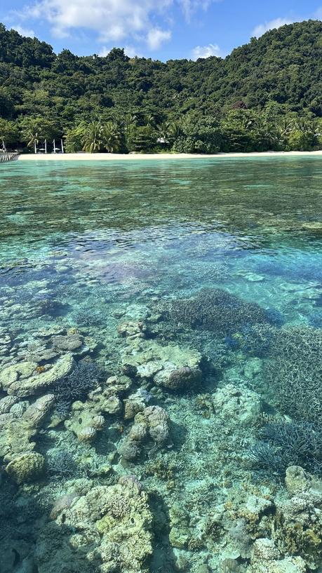 Mi viaje a Bali, Singapur y Bawah