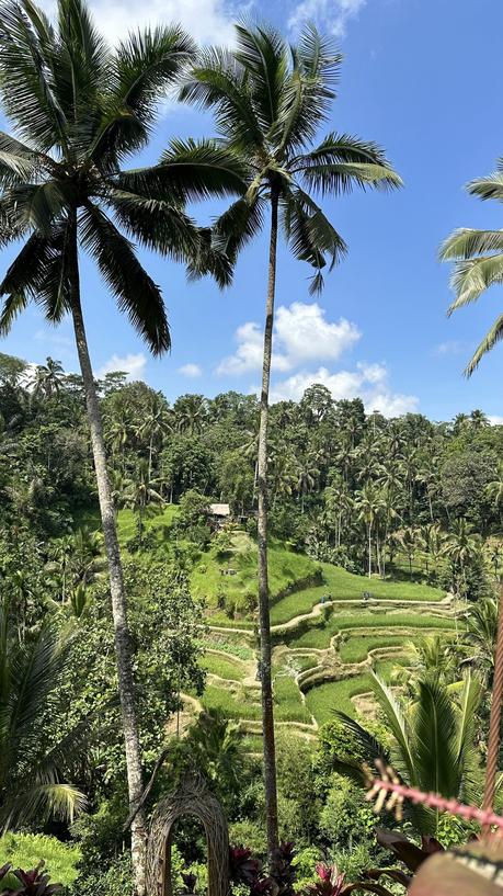 Mi viaje a Bali, Singapur y Bawah