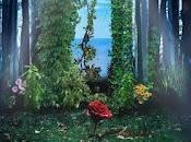 Arise Time Transit Life (2023)