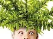 Tienes cara helecho…