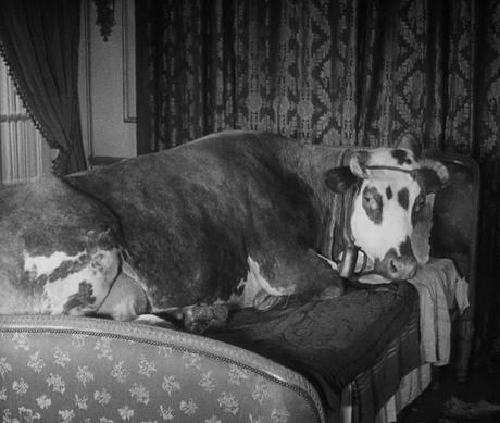 Edad de oro, la (L' Âge d'or) (Francia, 1930)