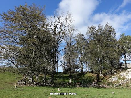 Covadonga-Orandi-La Porra d´Enol-Priena