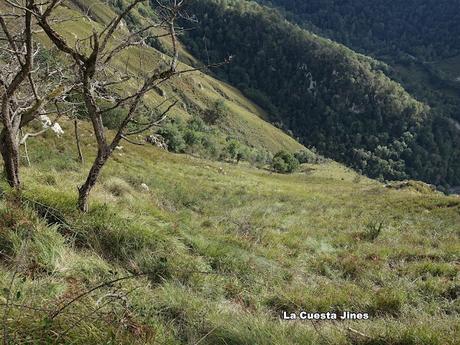 Covadonga-Orandi-La Porra d´Enol-Priena