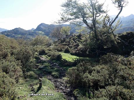 Covadonga-Orandi-La Porra d´Enol-Priena