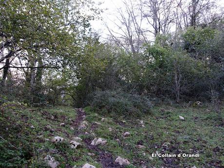 Covadonga-Orandi-La Porra d´Enol-Priena