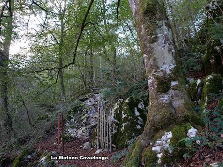 Covadonga-Orandi-La Porra d´Enol-Priena