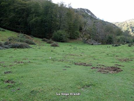 Covadonga-Orandi-La Porra d´Enol-Priena