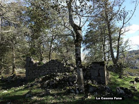 Covadonga-Orandi-La Porra d´Enol-Priena