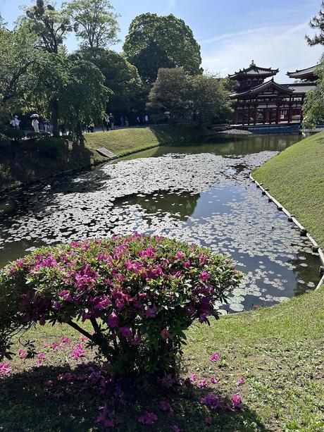 Aprender y comprender…