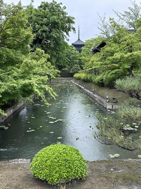 Aprender y comprender…