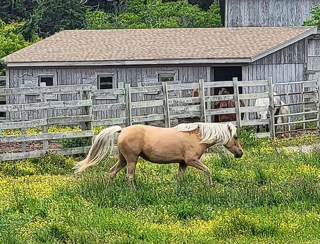 Las 13 mejores ciudades costeras de Carolina del Norte