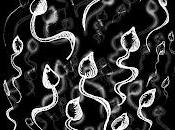 Maldición Poeta: Renacuajos 3er. Estanque (3era. Ed.)