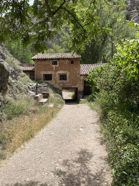 Paseo por el Río Guadalaviar