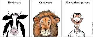 Las viñetas de humor de cada día
