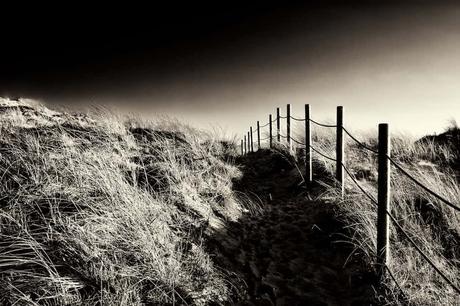 Descubre las Dunas de Liencres en Cantabria