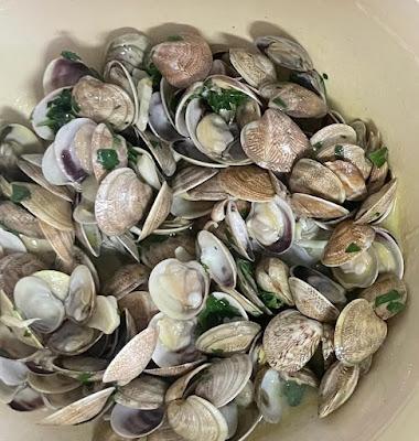 🌻 De Lunes y Julio 🌺