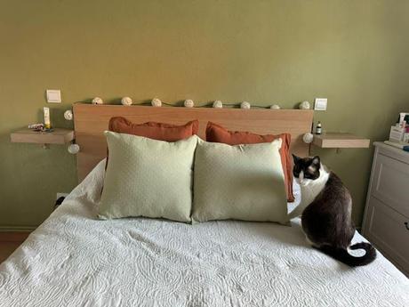 COJINES VIAJEROS COJINES VIAJEROS