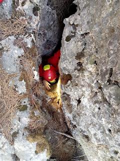 Nuevas cavidades exploradas en la Sierra de Segura Nuevas cavidades exploradas en la Sierra de Segura