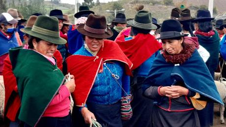 ECUADOR : EL MERCADO DE ANIMALES DE GUAMOTE ECUADOR : EL MERCADO DE ANIMALES DE GUAMOTE