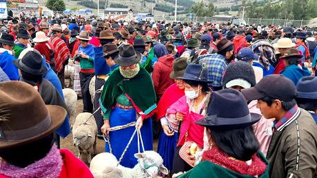 ECUADOR :  EL MERCADO DE ANIMALES DE GUAMOTE