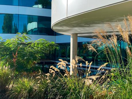 Ambienta ha revolucionado el concepto de jardín en Madrid 6