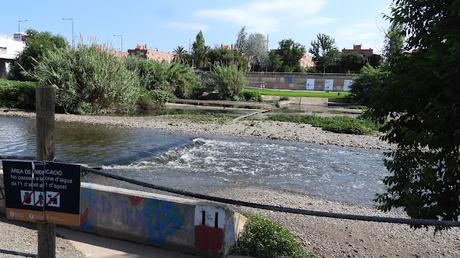 Un visitante cada vez más habitual del Parc Fluvial