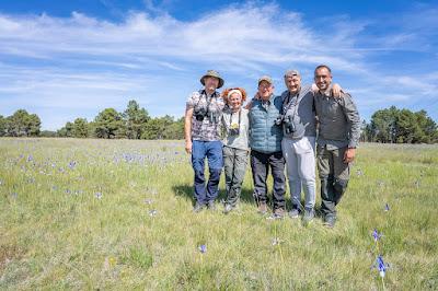 CAMPAÑA AGUILUCHO CENIZO 2024 (SEGOVIA)