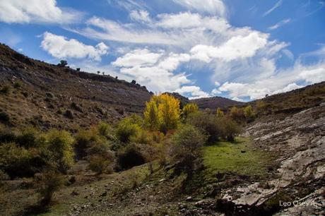 Enciso Enciso: Descubre su Historia y Atractivos Turísticos