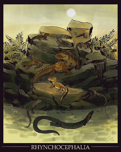 Viajando al pasado con Caxela Viajando al pasado con Caxela