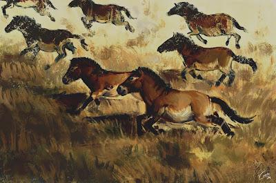 Viajando al pasado con Caxela Viajando al pasado con Caxela