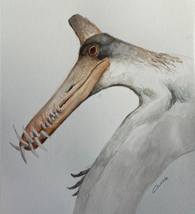 Viajando al pasado con Caxela Viajando al pasado con Caxela