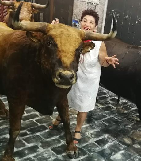 TARDE DE TOROS TARDE DE TOROS