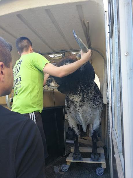 TARDE DE TOROS TARDE DE TOROS