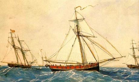 1755: la arribada del navío balandra francés “El Galgo” con vino, aguardiente y jarcia