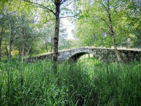 Explora Galicia: Qué Ver en Muros - Joya Costera