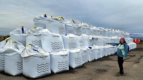 ISLANDIA : HÚSAVIK Y LAS BALLENAS JOROBADAS ISLANDIA : HÚSAVIK Y LAS BALLENAS JOROBADAS