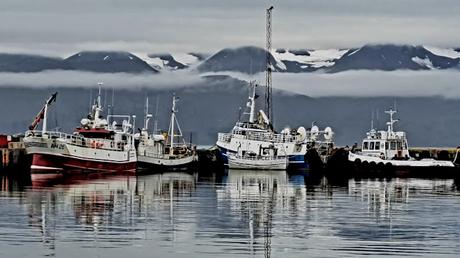 ISLANDIA : HÚSAVIK Y LAS BALLENAS JOROBADAS ISLANDIA : HÚSAVIK Y LAS BALLENAS JOROBADAS
