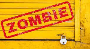 ONGs COMO EJEMPLO DE EMPRESAS ZOMBI. ONGs COMO EJEMPLO DE EMPRESAS ZOMBI.