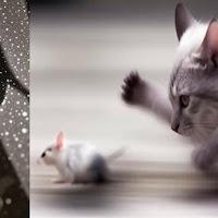 Casero estrena Algo que ganar