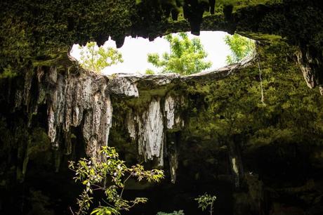 Descubre los Mejores Cenotes en Tulum - Guía 2024