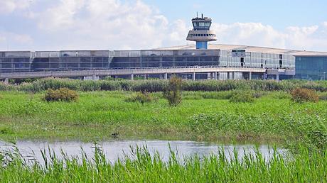 Garza imperial y el ruido del Delta del Llobregat
