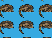 Acertijo cerebral: ¿Puedes detectar elemento diferente? ¡Solo personas puede superar este desafío menos segundos!