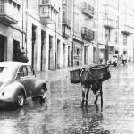 La cuesta de la Atalaya, transitada por burros La cuesta de la Atalaya, transitada por burros