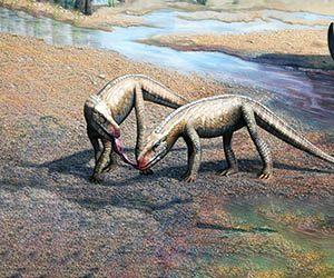 Descubrimiento de un antiguo reptil parecido a un cocodrilo llamado ‘pseudosuquio’ Un antiguo reptil parecido a un cocodrilo llamado Parvosuchus aurelioi, un reptil parecido a un parvosuchus. Crédito de la imagen: Matheus Fernandes.