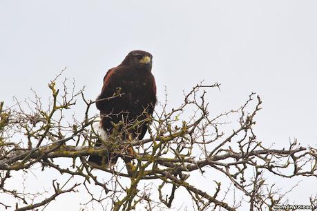 Recorriendo Punta Indio