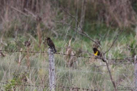 Recorriendo Punta Indio