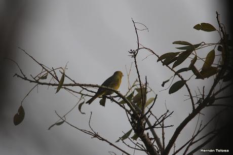 Recorriendo Punta Indio